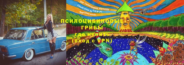 apvp Арсеньев